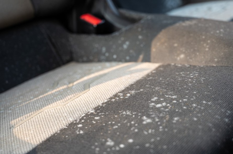 how to remove mold from car interior