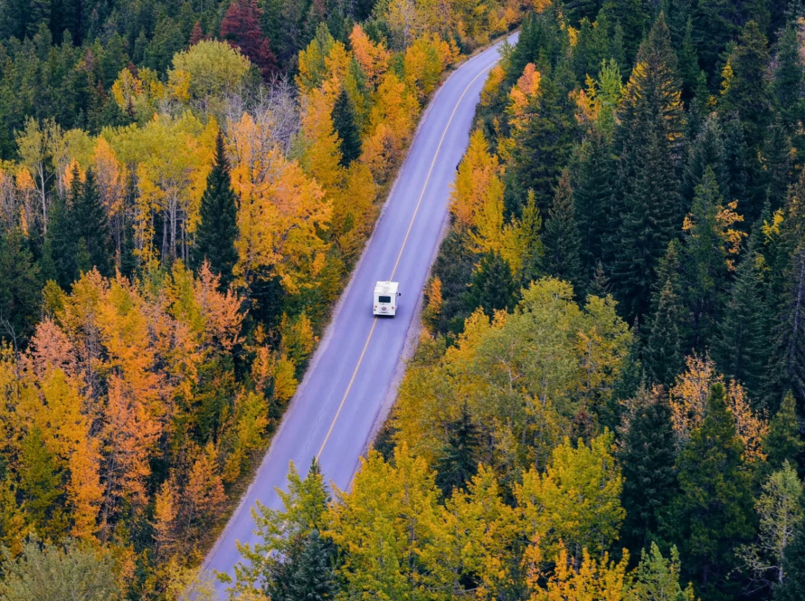 Holiday road trip scene with a vehicle driving through autumn trees, promoting post-travel car cleanup by Absolute Precision Custom Detailing.