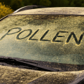 Can Pollen Damage Your Car? What Every Car Owner Should Know This Spring