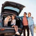 Bug Splatter, Sand & Road Grime: What Spring Break Travel Really Does to Your Car