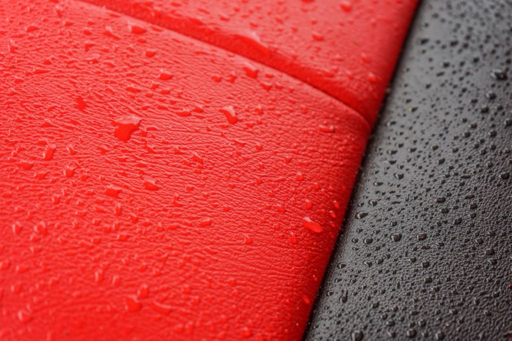 mold in car interior - figure out where the moisture is coming from
