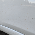Tiny Orange Spots on Car Paint? It May Not Be Rust
